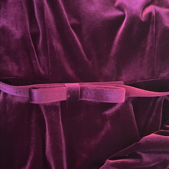 Gorgeous antonio melani Rich Burgundy Velvet Dress with Belt - Picture 6 of 11